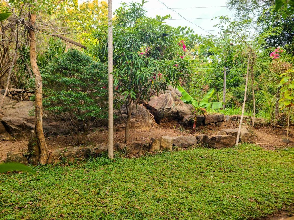 Woodholic Homestay Sigiriya Eksteriør billede