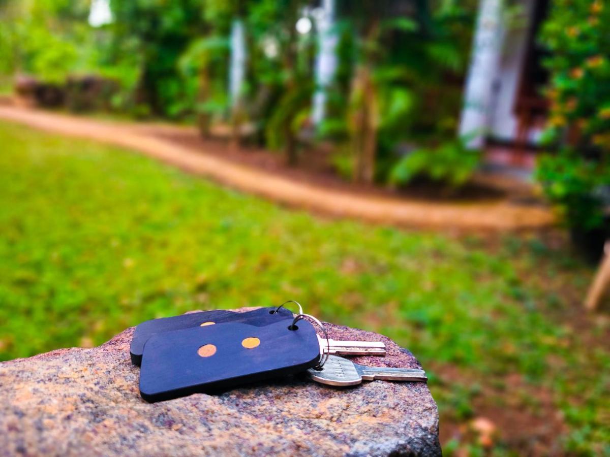 Woodholic Homestay Sigiriya Eksteriør billede