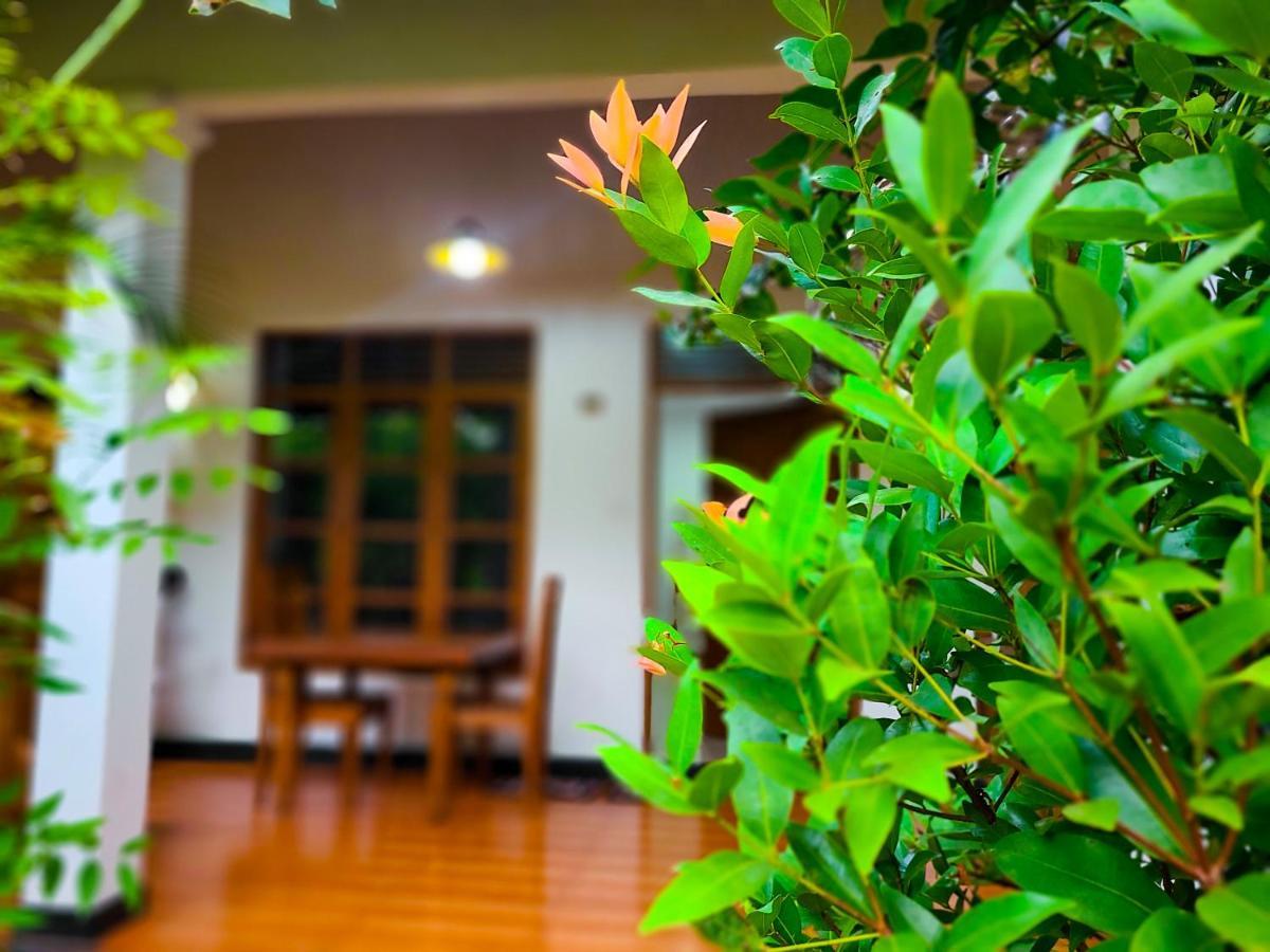 Woodholic Homestay Sigiriya Eksteriør billede