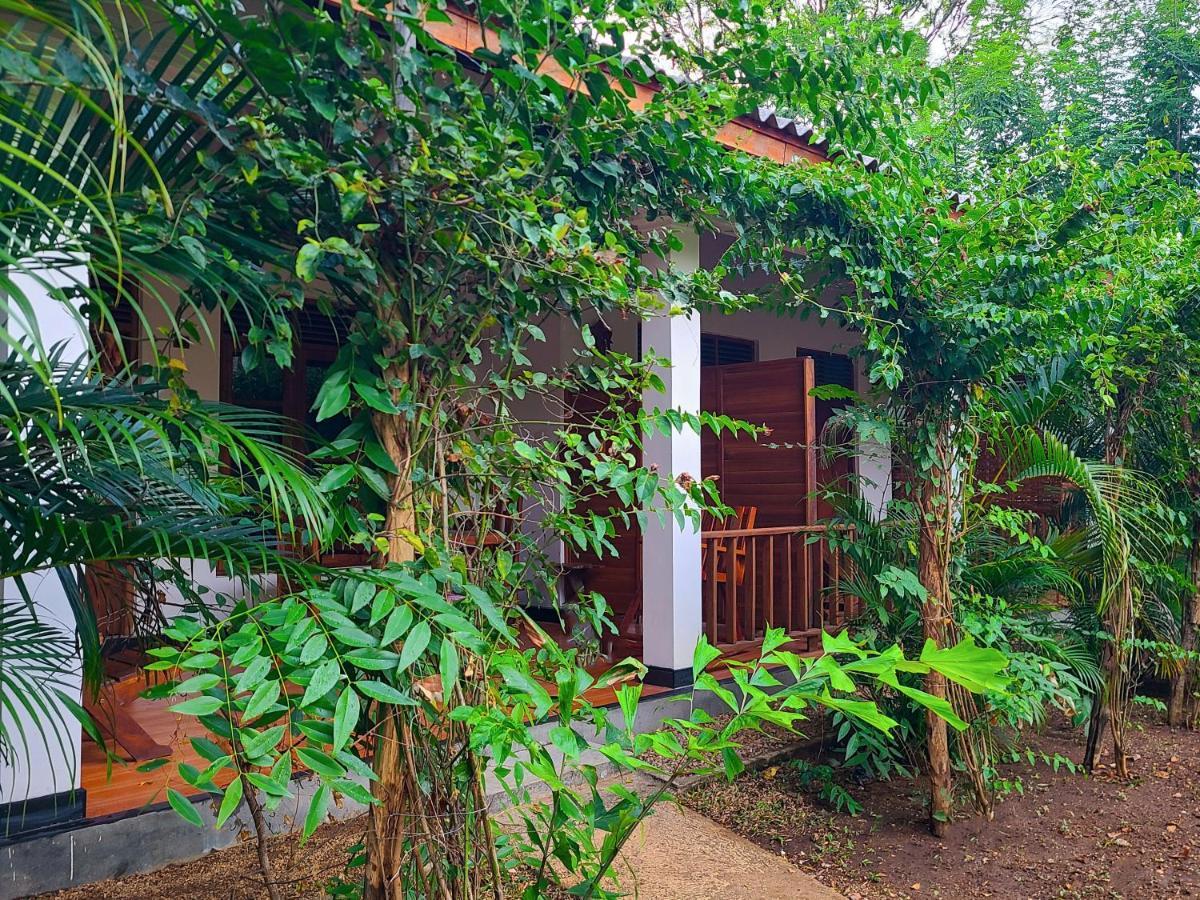 Woodholic Homestay Sigiriya Eksteriør billede