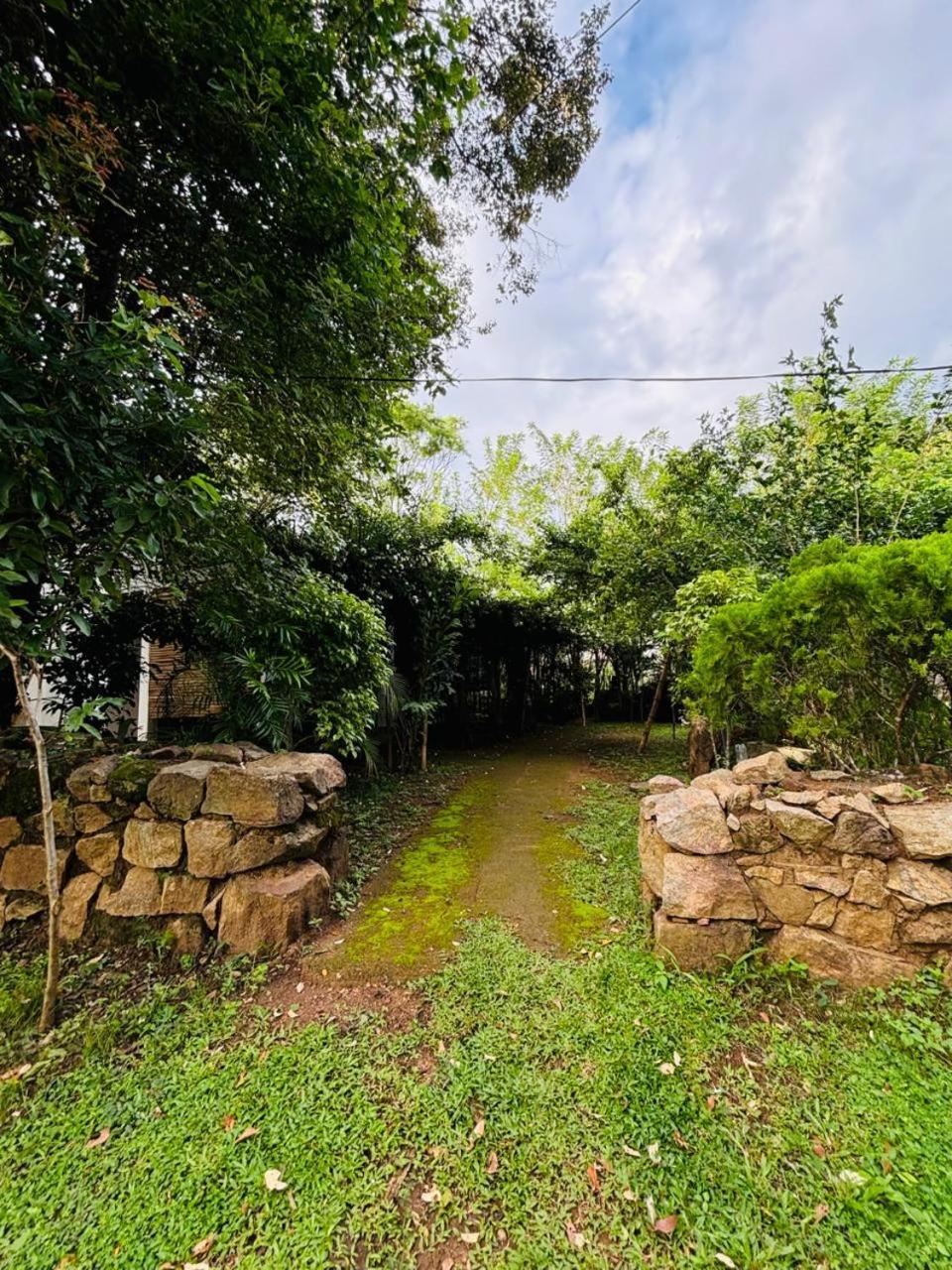 Woodholic Homestay Sigiriya Eksteriør billede