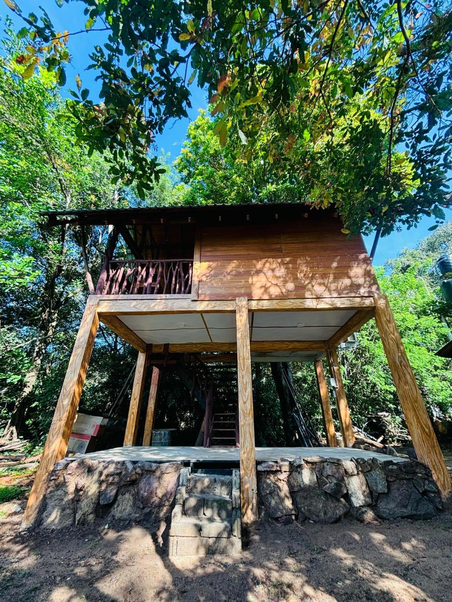 Woodholic Homestay Sigiriya Eksteriør billede